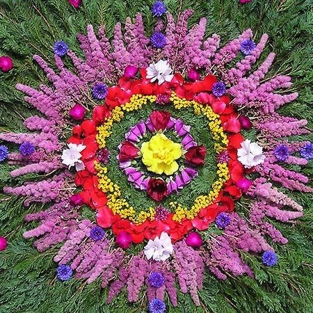 bunte-blumen-in-kreisform-auf-rasen
