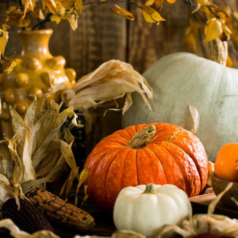 kuerbisse-herbstlich-arrangiert-mit-geaest