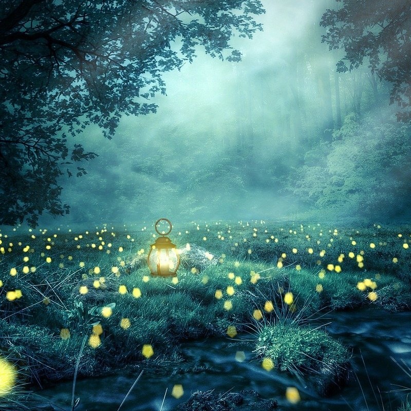 kleine-lichter-am-waldboden-in-daemmerung