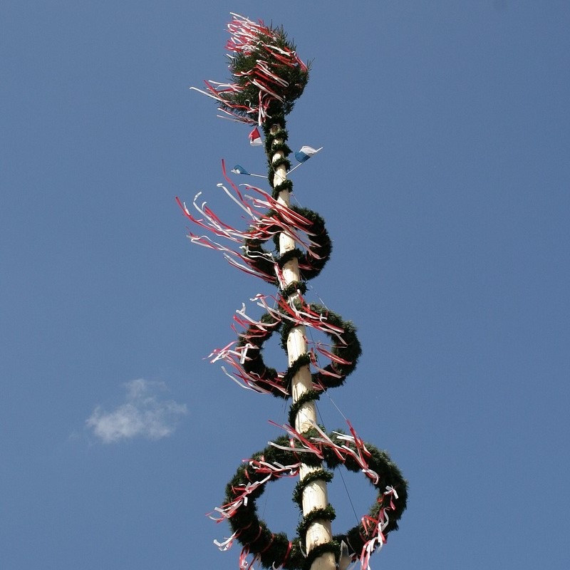 maibaum-als-symbol-fuer-beltane